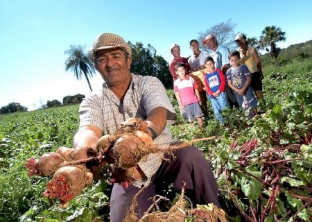 Governo Lula está liberando R$ 435 bilhões para os produtores rurais, o maior financiamento da história