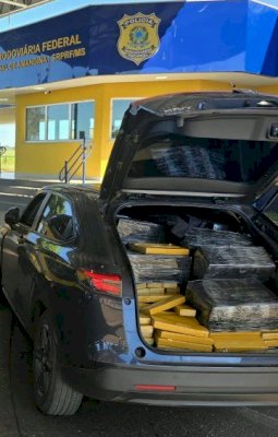 Ivinhema - PRF apreende 1,2 tonelada de maconha BR-376