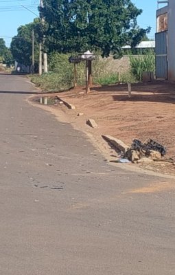 Motorista é encaminhado à delegacia após se envolver em acidente na Avenida Brasil
