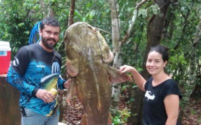 Mecânico pesca Jaú de 70 kg um dia antes da Piracema em MS: 'É maior que minha mulher. Vai virar peixada'