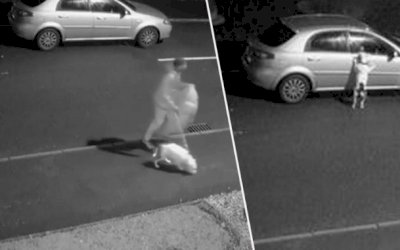CACHORRO SE DESESPERA AO PERCEBER QUE DONO VAI ABANDONÁ-LO NA RUA