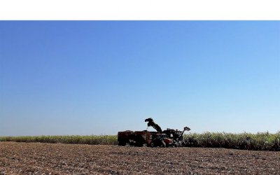 Produção de cana em MS atinge 45 milhões de toneladas e etanol supera 3 bilhões de litros
