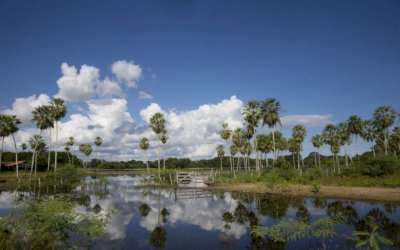 Pantanal é eleito um dos melhores locais para se conhecer