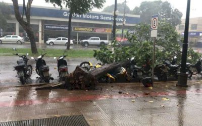 Outono - Chuva forte derruba árvores e deixa ruas alagadas em Dourados