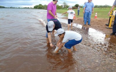 CTG BRASIL SOLTA 110 MIL PEIXES NO RIO PARANÁ