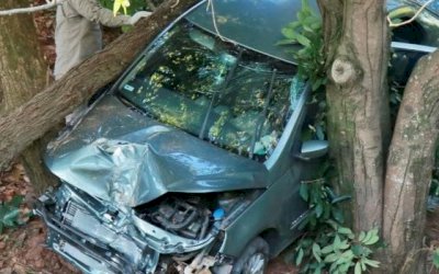 Motorista perde controle de carro, arranca árvore e para em ribanceira