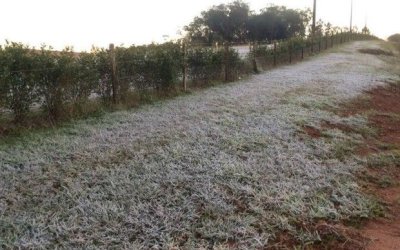 Inverno chega na sexta-feira com previsão de geadas para MS