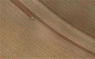 Com precisão de até 5 centímetros, drones são usados para cobrir até 400 hectares de canaviais por dia em MS