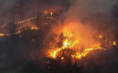 Fogo atinge “dimensões devastadoras” no Pantanal, diz governo do MS