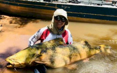 Não é papo de pescador: dentista fisga Jaú de 70kg em Alcinópólis