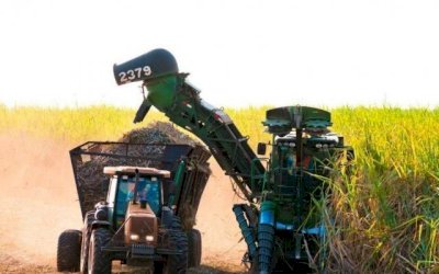 Usineiros descartam cana no Pantanal, mas admitem plantar no Alto Paraguai