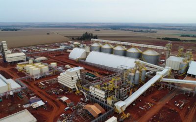 Cooperativa Coamo divide R$ 100 milhões de lucro