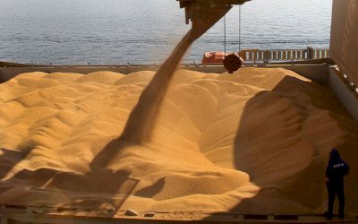 Brasil registra maior exportação de soja em novembro, ante 2018, aponta Secex