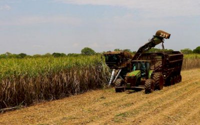 RenovaBio: aprovada primeira certificação para duas usinas produtoras de etanol de MS