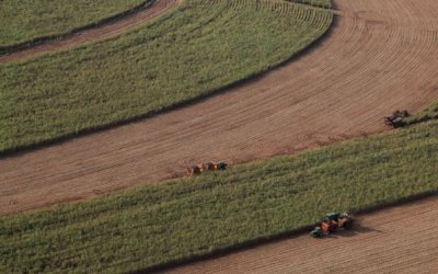 Adecoagro reverte prejuízo e tem lucro de US$ 9,6 mi no 4º trim./2019