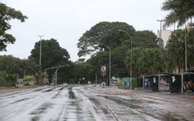 Covid-19: confinamento e distanciamento social preocupam psicólogos