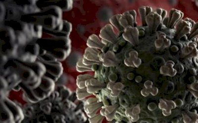 Brasil tem mais de 100 mil casos confirmados de COVID-19, com sete mil mortes