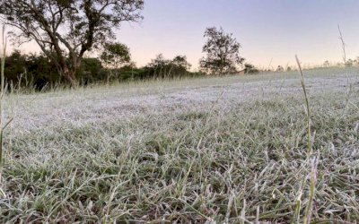 Rio Brilhante fez 2.9°C na madrugada e 7 cidades do estado registram geada