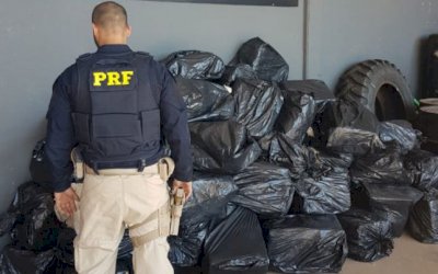 PRF e Polícia Civil apreendem 1,9 T de maconha em caminhão frigorífico em Bandeirantes (MS)