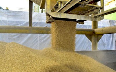 China teme que pandemia de covid-19 no Brasil prejudique oferta de soja