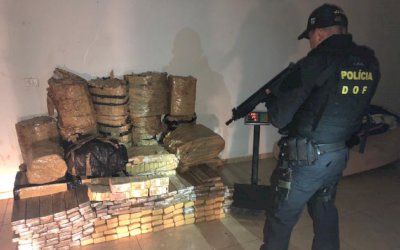 Mais de 800 kg de maconha foram apreendidos pelo DOF