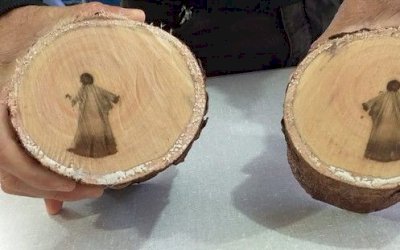 ‘Imagem de Jesus’ que aparece em tronco de árvore após poda intriga operários em MS