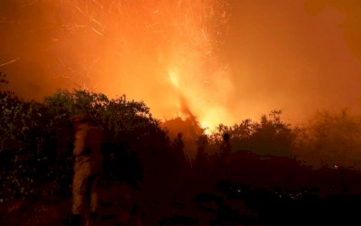 Pantanal pega fogo acima e abaixo da terra