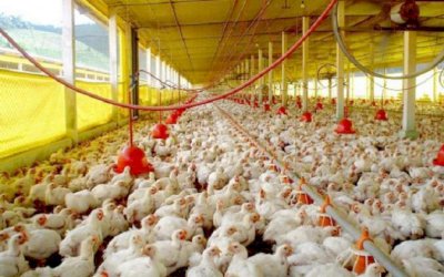 Conselho do FCO aprova R$ 131,4 milhões para novos empreendimentos rurais e empresariais em MS