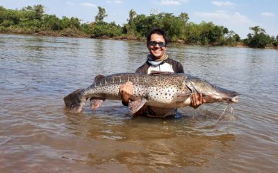 Deodápolis - Homem captura peixe de 60 quilos e 1,70 metro em rio de MS