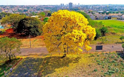 Frente fria dá boas-vindas a primavera e ameniza clima em Mato Grosso do Sul