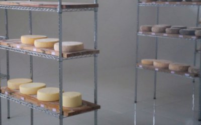 Queijo serrano é o primeiro produto artesanal a receber o Selo Arte em Santa Catarina