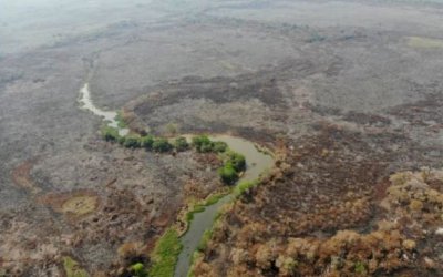 Provas indicam que fazendeiros provocaram queimadas no Pantanal de MS, aponta PF