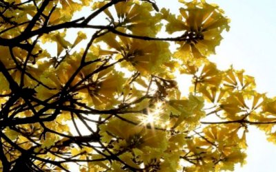 Onda de calor se despede nos próximos dias e traz expectativa de mudanças no tempo