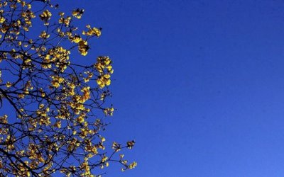 Sol predomina e umidade do ar pode atingir estado de alerta neste sábado