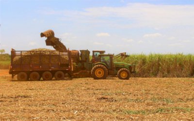 Indústria sucroenergética de MS amplia em 3,5 vezes o volume de açúcar exportado em 2020
