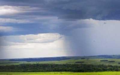 Quarta-feira com umidade do ar elevada e pancadas de chuva