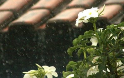 Sábado com pancadas de chuva e máxima de 32°C para Mato Grosso do Sul