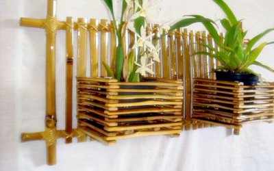 Conheça a versatilidade do bambu, que é usado na produção de móveis, bicicletas e pode virar até prótese