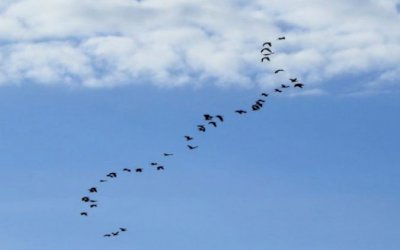 Ultimo domingo de 2020 será de tempo instável em Mato Grosso do Sul