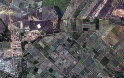 Entenda as regras para comprar lote de assentamento da reforma agrária