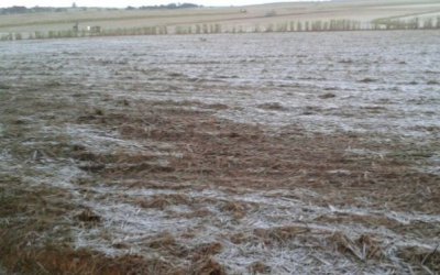 La Niña pode favorecer a ocorrência de geada em Mato Grosso do Sul