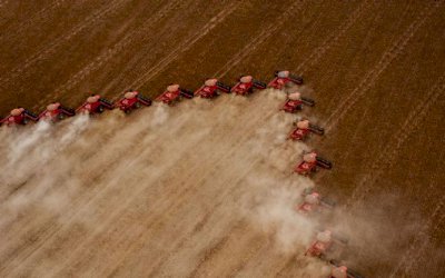 Brasil será maior exportador de grãos do mundo em cinco anos