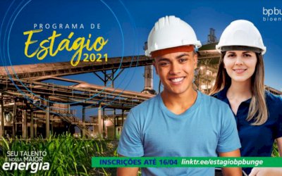 Programa de Estágio BP Bunge Bioenergia 2021 oferece 124 vagas para universitários