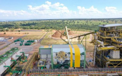 Primeira usina movida a tocos e raízes do País inicia operação em MS