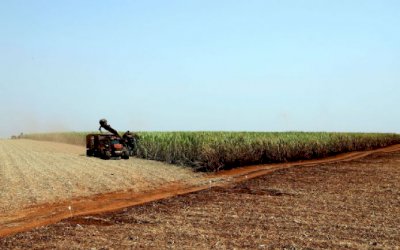 Governo lança plano de promoção da agricultura de baixo carbono