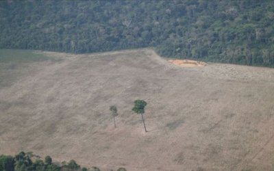 Inpe: Amazônia tem desmatamento maior para mês de abril desde 2016