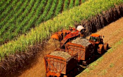 Seca de 2021 supera a de 2020 e acende a luz vermelha para maior ocorrência de incêndios nos canaviais