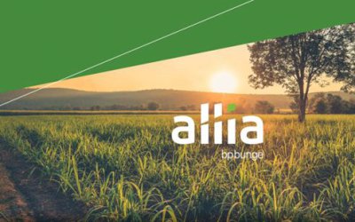 BP Bunge Bioenergia lança o programa Allia, plataforma de negócios exclusiva para fornecedores de cana-de-açúcar