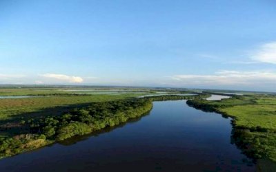 MS abriga maior área contínua de Mata Atlântica no interior do país