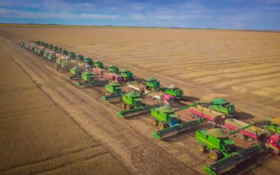 Quem é o ‘Rei dos hectares’ no Brasil? Conheça nossos 3 maiores produtores agrícolas